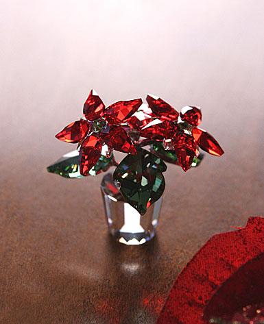 Poinsettia